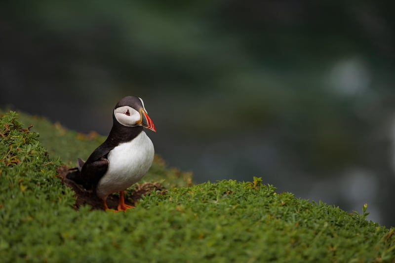 Nature-friendly Creations