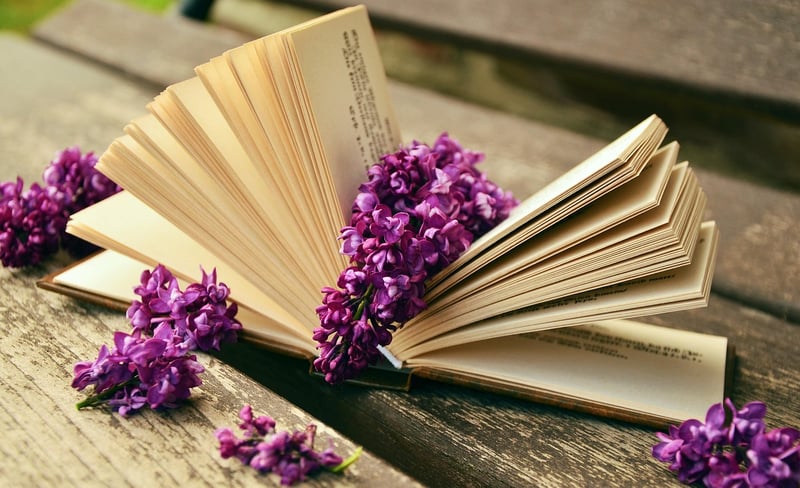 Old Book Page Wall Art