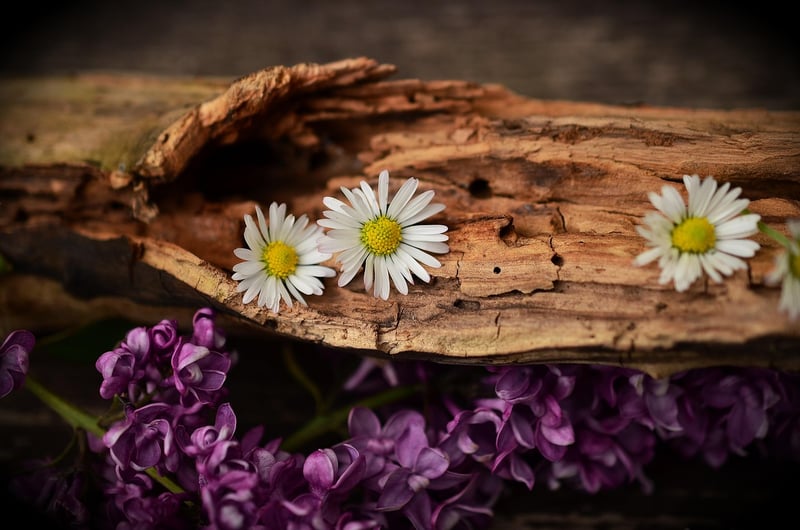 Crafting with wood